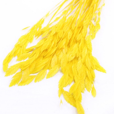 Хасмантиум,60 см, 40 г,жёлтый