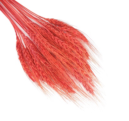 Пшеница (25шт/пач), красный