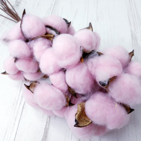 Хлопок (10шт в 1 букете) 25см, Розовый