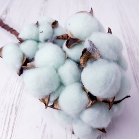 Хлопок (10шт в 1 букете) 25см, Тиффани