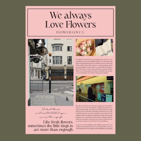 Набор пленки 