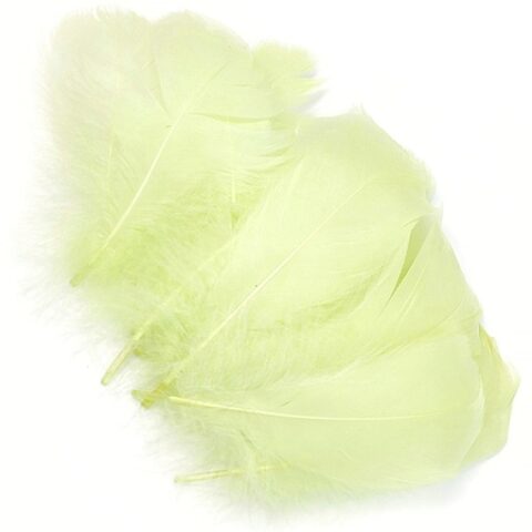 Перо гусиное 10-15 см, упак 20 шт, лимонный