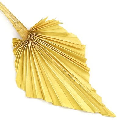 Лист пальмы 10*15см, желтый