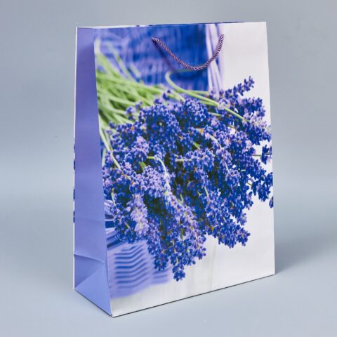 Пакет подарочный 