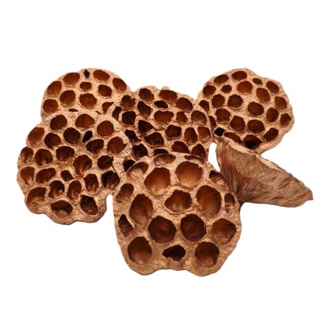 Лотос 10 шт/уп, золотой