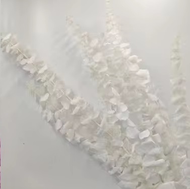 Эвкалипт Беби Блу Экстра 55-60см, 80гр, белый