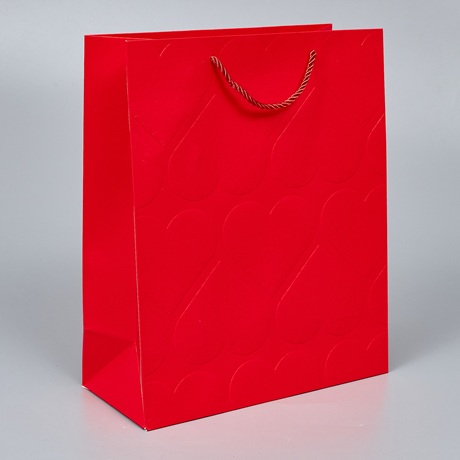 Пакет подарочный с тиснением 