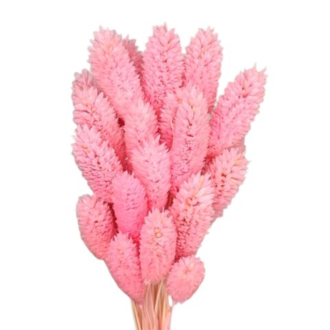 Фаларис 25шт/упак, розовый