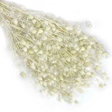 Эрингиум 100гр, белый