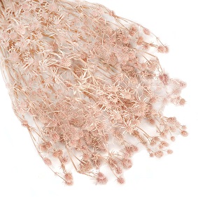 Эрингиум 100гр, пыльная роза