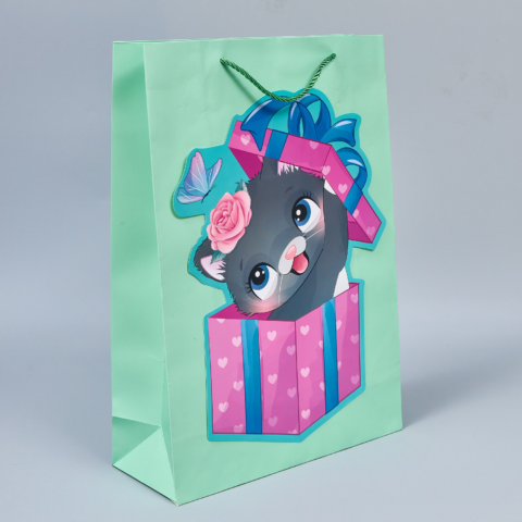 Пакет подарочный 