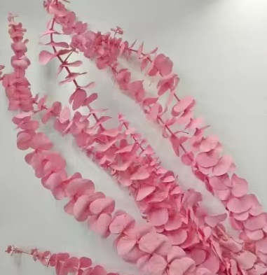 Эвкалипт Беби Блу Экстра 55-60см, 80гр, розовый