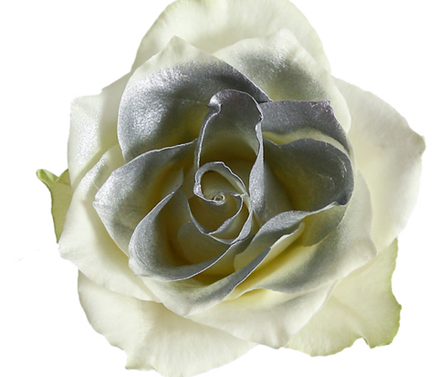 Спрей-краска для цветов 450 мл, серебряный