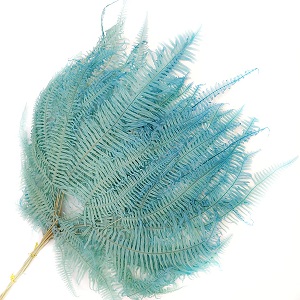 Папоротник Амбрелла 45см, 10шт/упак, голубо-зеленый