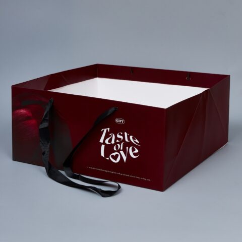 Сумка-переноска 