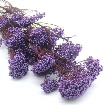Озатамнус,60 см,90 г,фиолетовый