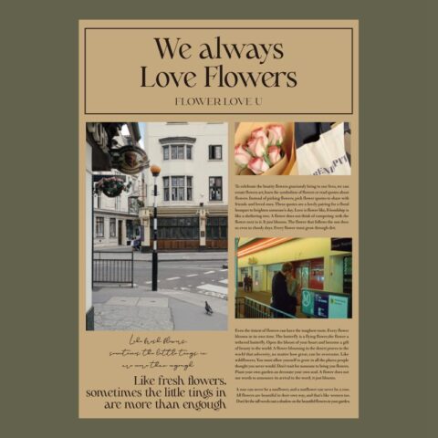 Набор пленки 