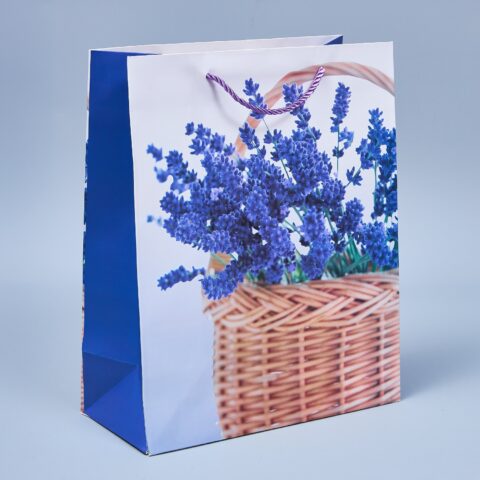 Пакет подарочный 