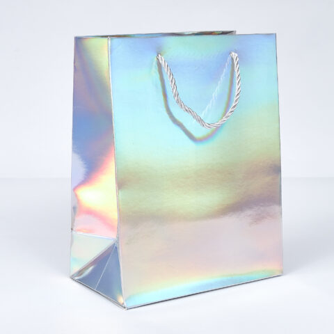 Пакет подарочный голография, 23*18*10см