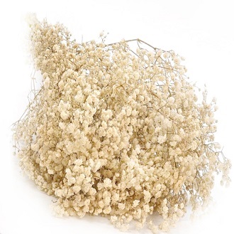 Гипсофила Мирабелла 70см, 120г, белый