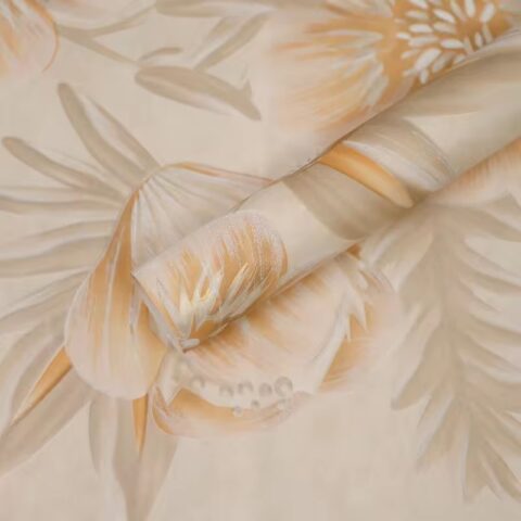 Набор плёнки 