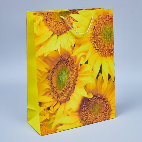 Пакет подарочный 