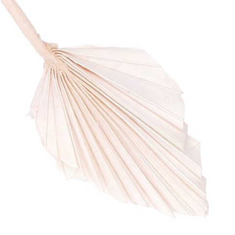 Лист пальмы 10*15см, выбеленый