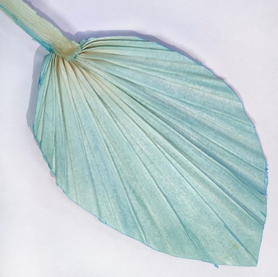 Лист пальмы 10*15см, тиффани