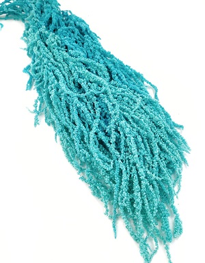 Амарантус 80-90см, 5 шт/упак, тифани