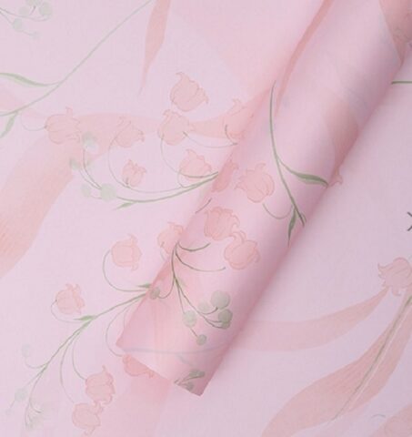 Набор пленки 