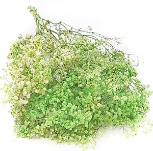Гипсофила Мирабелла 70см, 120г, салатовый