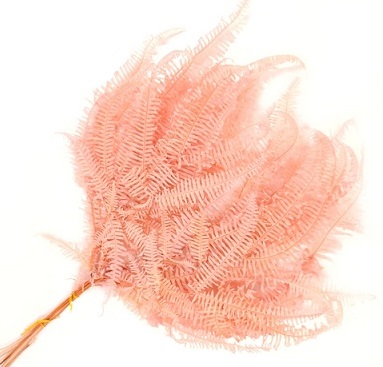 Папоротник Амбрелла 45см, 10шт/упак, розовый персик