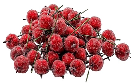 Яблоки засахаренные на вставке 100шт, 20мм