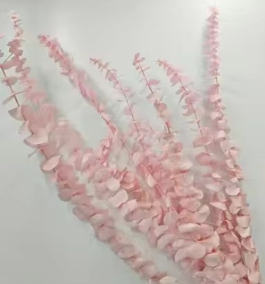 Эвкалипт Беби Блу Экстра 55-60см, 80гр, нежно-розовый