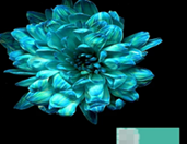 Краска флористическая №07 (Аква), 0,300л