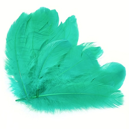 Перо гусиное 10-15 см, упак 20 шт, бирюзовый