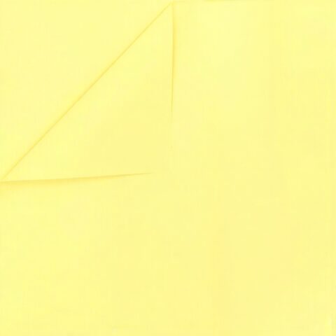 Пленка матовая 