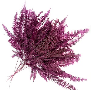 Папоротник Амбрелла 45см, 10шт/упак, винный