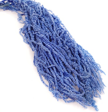 Амарантус 80-90см, 5 шт/упак, синий