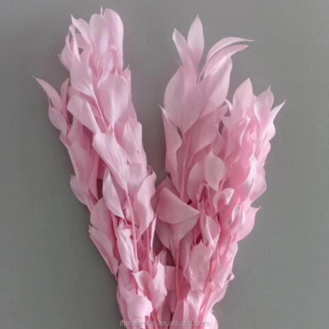 Рускус Израильский 5шт/упак, розовый