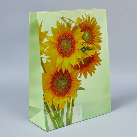 Пакет подарочный 