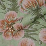 Набор плёнки 