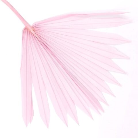 Лист пальмы Sun Spear, сиренево-розовый