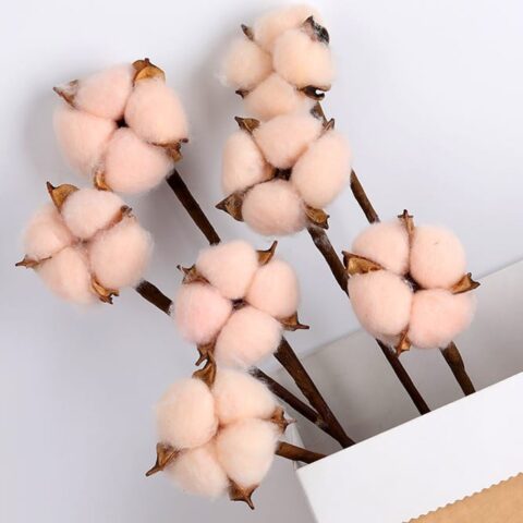 Хлопок (10шт в 1 букете) 25см, Персик