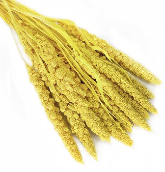 Сетария 60-63см, 10шт/упак, желтый