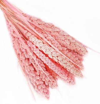 Сетария 60-63см, 10шт/упак, розовый