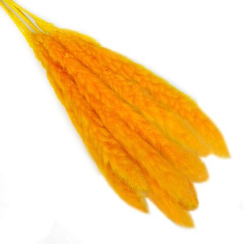 Камыш 70-73см, 8 шт/упак, оранжевый