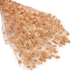 Эрингиум 100гр, персик