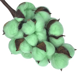 Хлопок (10шт в 1 букете) 25см, Зеленое яблоко