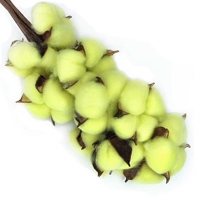 Хлопок (10шт в 1 букете) 25см, Лимонный